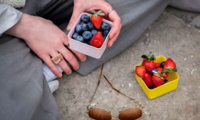 berry picking 60189